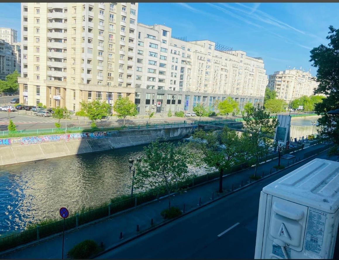 Studio Confort Букурещ Екстериор снимка